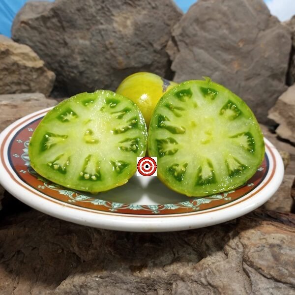 Evergreen Tomato