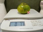 Evergreen Tomato Heirloom Tomatoes