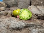 Evergreen Tomato Seeds