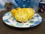 Fill Bottom Yellow Tomato