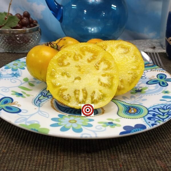 Fill Bottom Yellow Tomato