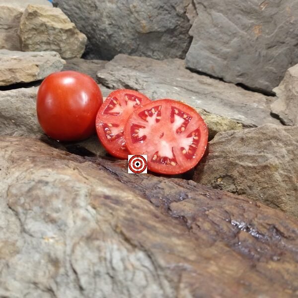Fireworks Tomato