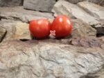 Fireworks Tomato Canning Tomatoes