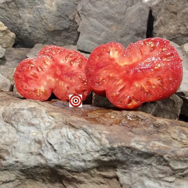 Fish Point Slicer Tomato