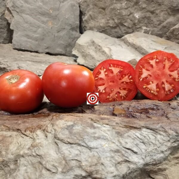 Flavor Steak Tomato
