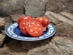 Flavor Steak Tomato Heirloom Tomatoes