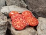 Flavor Steak Tomato Red Tomatoes