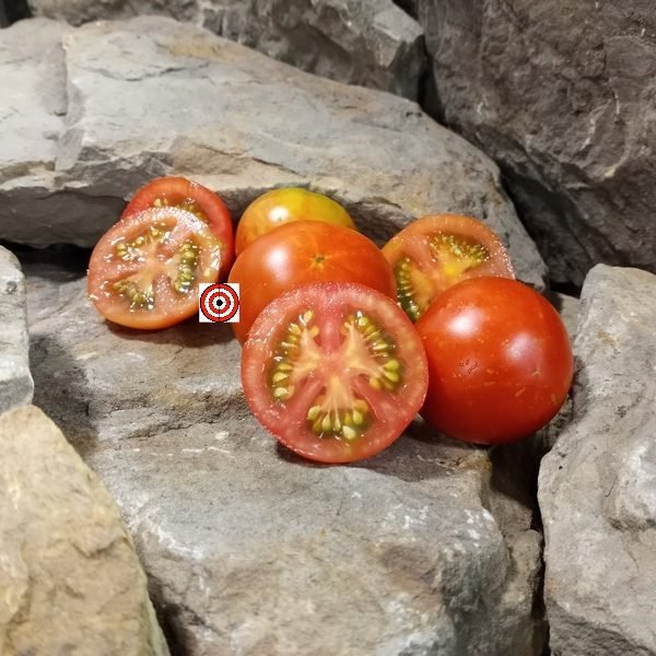 Fourth Of July F2 Tomato