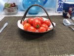Fox Family Old Store Tomato Seeds