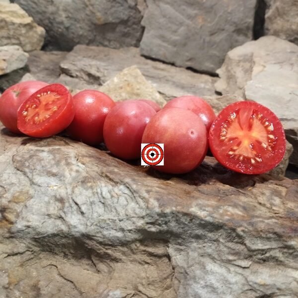 Fuzzy Rose Tomato