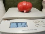 Georgia E Tomato