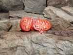 Georgia E Tomato Beefsteak Tomatoes
