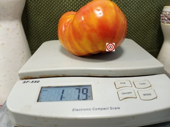 Georgia Streak Tomato