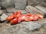 Ghittia Tomato Rare Tomatoes