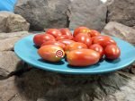 Ghittia Tomato Seeds