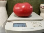 Giana Family Heirloom Tomato