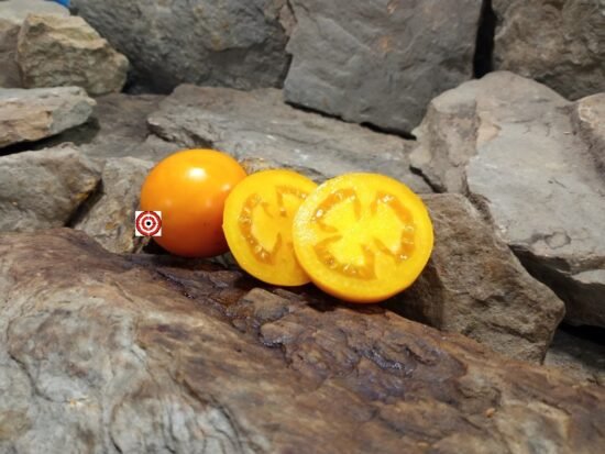 Giant Belgian Yellow Tomato