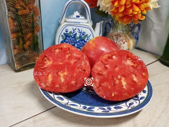 Giant Kite Tomato