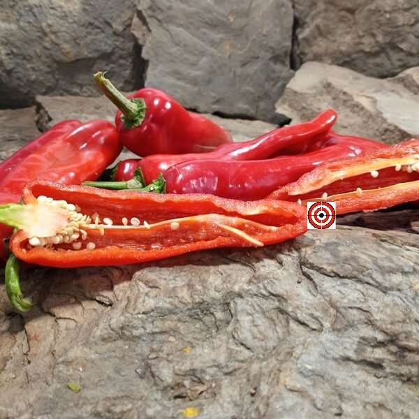 Giant Ristra (F2) Pepper