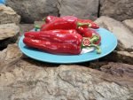 Giant Ristra (F2) Pepper - Image 2