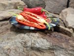 Giant Ristra (F2) Pepper - Image 3