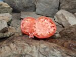 Gigante Calabrese Tomato Pink Tomatoes
