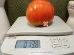 Gigante Calabrese Tomato Rare Tomatoes