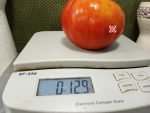 Giuseppe's Big Boy Tomato Large Tomatoes