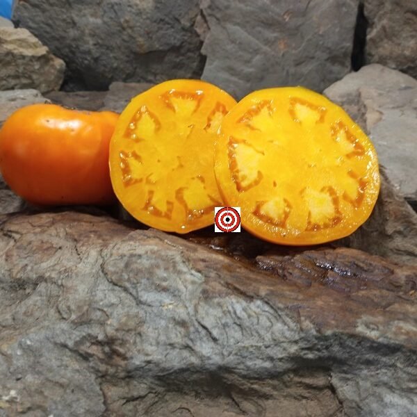 Golden Sunray Tomato