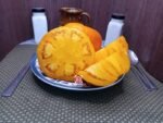 Golden Sunray Tomato Seeds