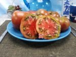 Grandmas Chocolate Dwarf Tomato Container Tomatoes