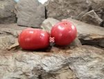 Grant County Pink Tomato Rare Tomatoes