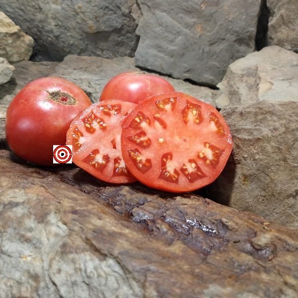 Gray Hawk Tomato