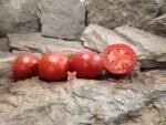 Gray Hawk Tomato - Image 3