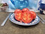 Gray Hawk Tomato - Image 4