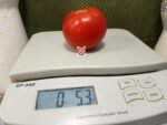 Greek Big Red Tomato Heirloom Tomatoes