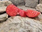 Greek Big Red Tomato Rare Tomatoes