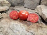 Greek Big Red Tomato Seeds