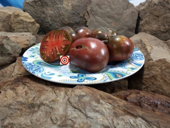 Gun Metal Grey PL Tomato