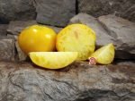 Gunlock's Better Tomato