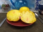 Gunlock's Better Tomato - Image 4