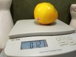 Gunlock's Better Tomato - Image 5