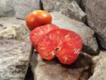 Hatfield Big Red Cutting Tomato Heirloom Tomatoes