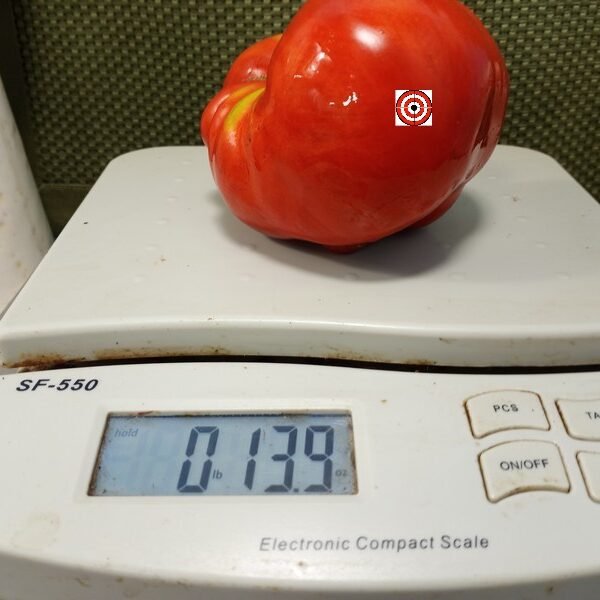 Hatfield Big Red Cutting Tomato Red Tomatoes