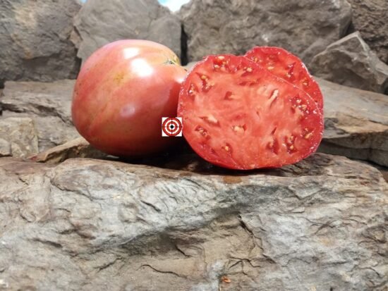 Heart of Italy Tomato