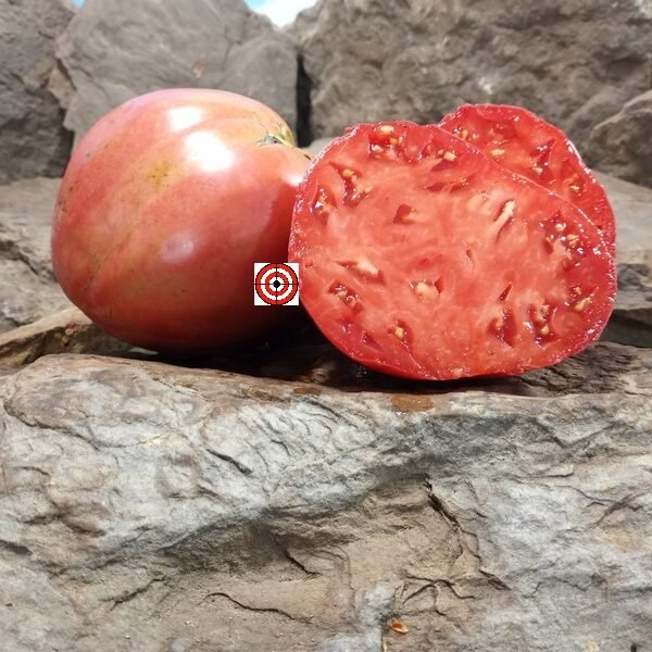 Heart of Italy Tomato