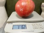 Heart of Italy Tomato Giant Tomatoes