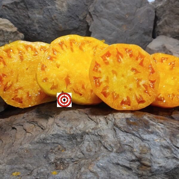 Homer Fike's Yellow Oxheart Tomato