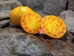 Homer Fike's Yellow Oxheart Tomato Heirloom Tomatoes