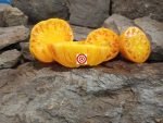 Homer Fike's Yellow Oxheart Tomato Seeds